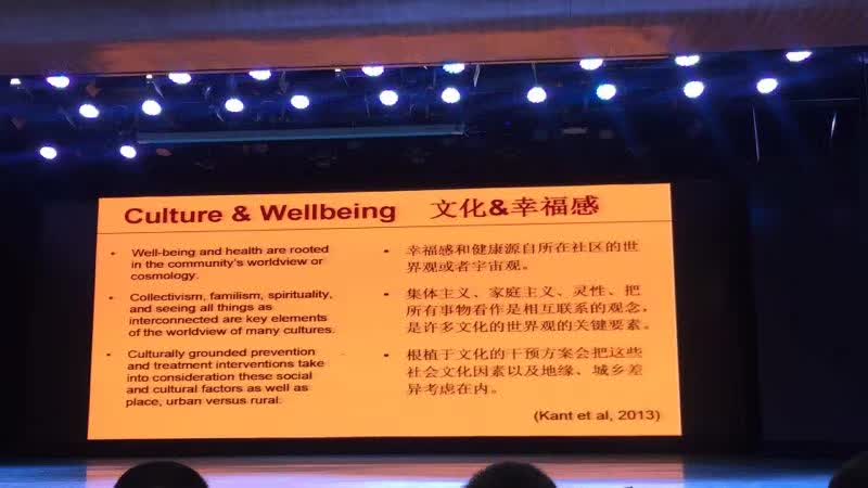 国家二级心理咨询师-8-李建英