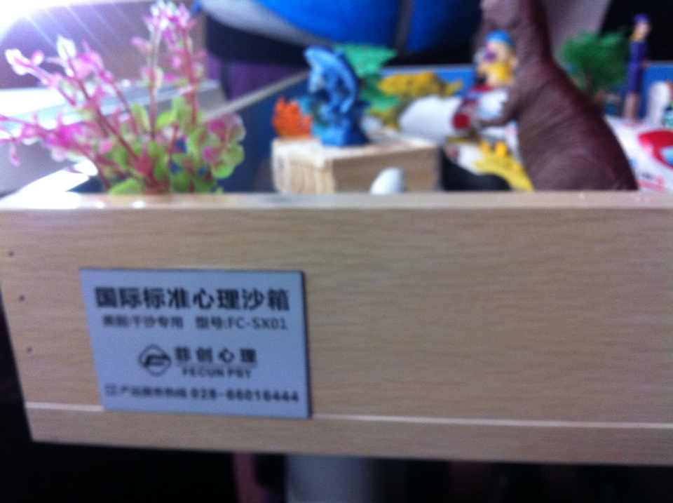 国家二级心理咨询师-15-李建英